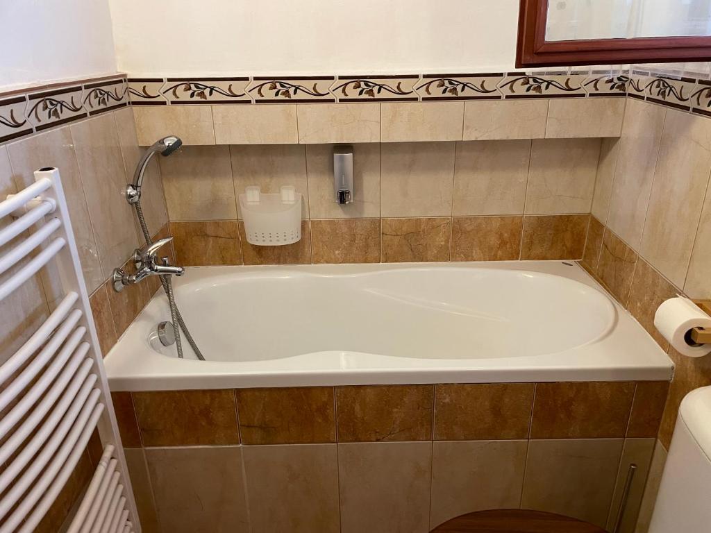 Apartmany u Synagogy photo