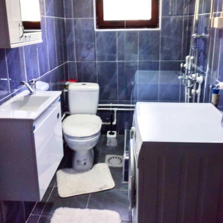 Studio Apartman Atila Sokobanja - 2