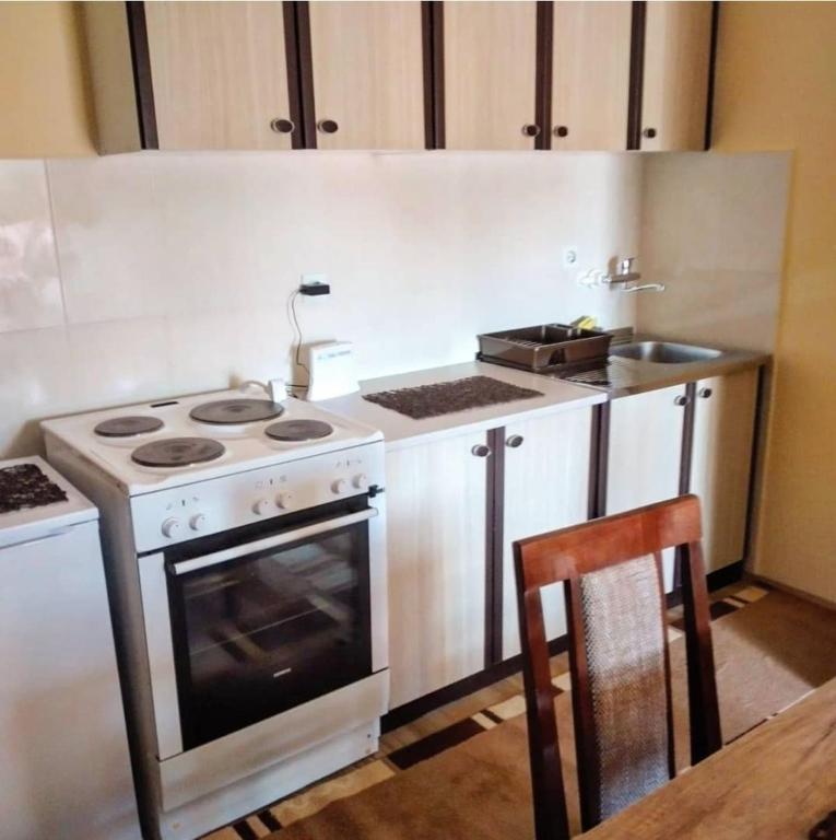 Studio Apartman Atila Sokobanja - 3
