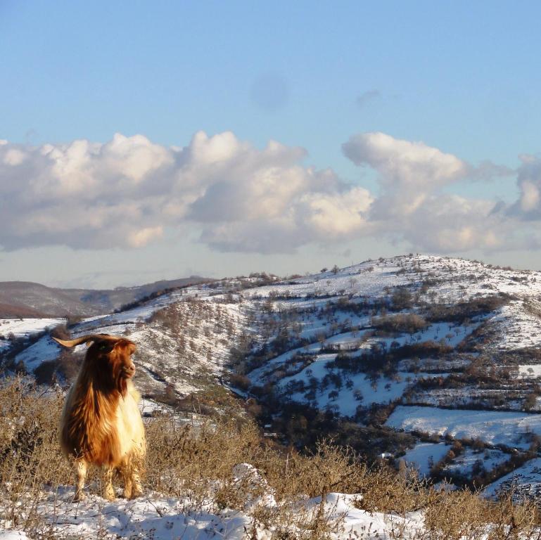 Sport i aktivnosti