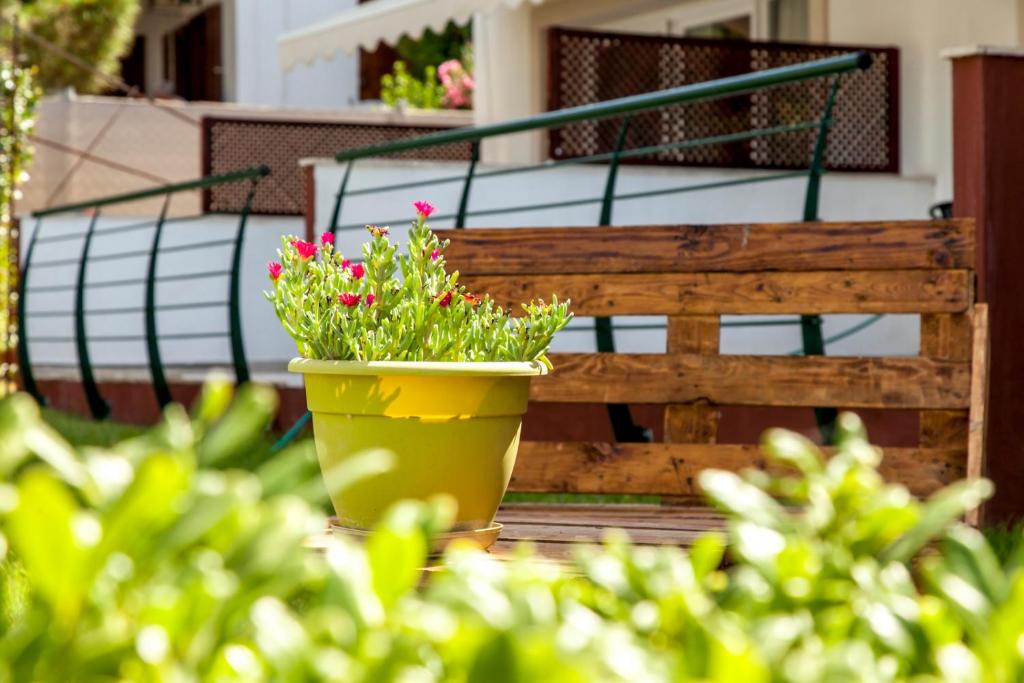 Erosaria Suites photo