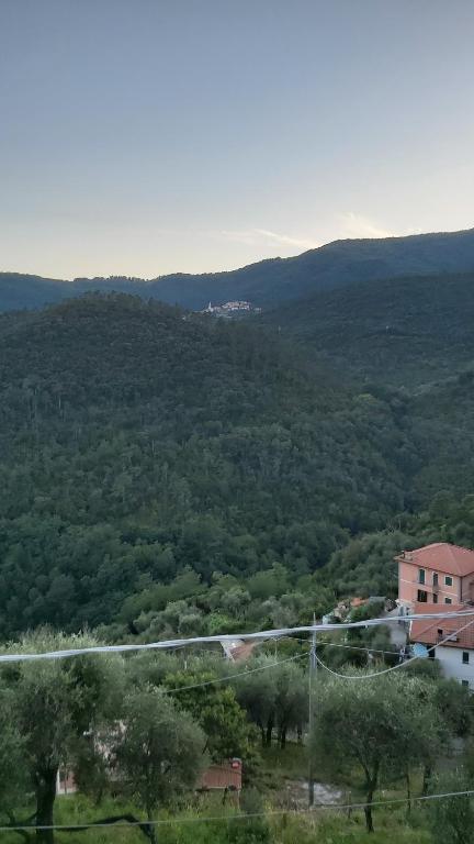 La casetta dei pesciolini - 2