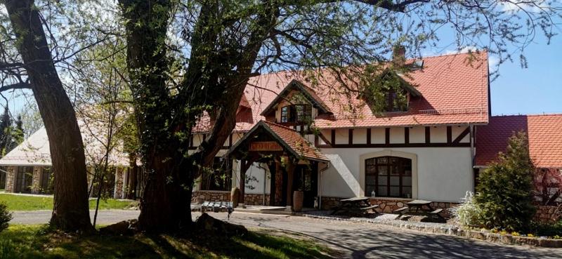 Pod lipami, Lwówek Śląski