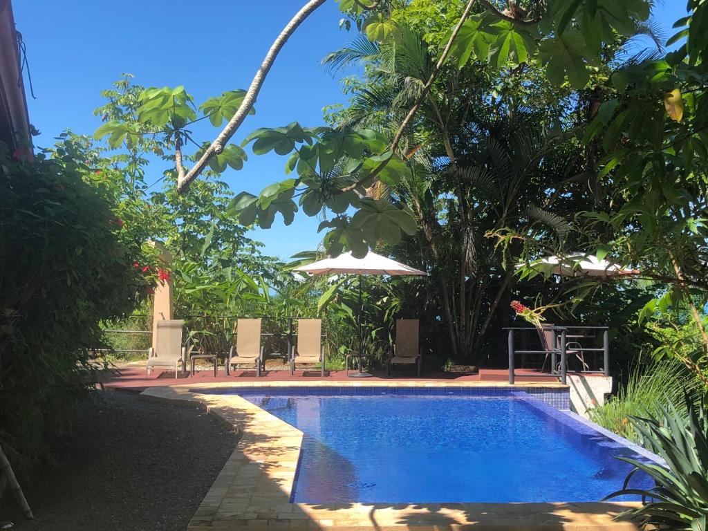 Casa del Toucan photo
