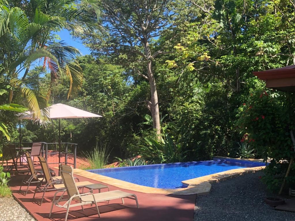Casa del Toucan photo