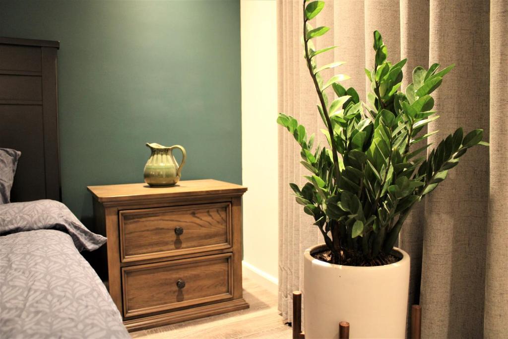 Highrise by Westlake, luxury suites managed by Cohost photo