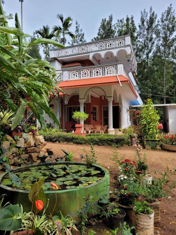 Bluebell homestay photo
