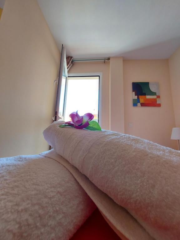 Adeje House, 1 bedroom wifi free - 5