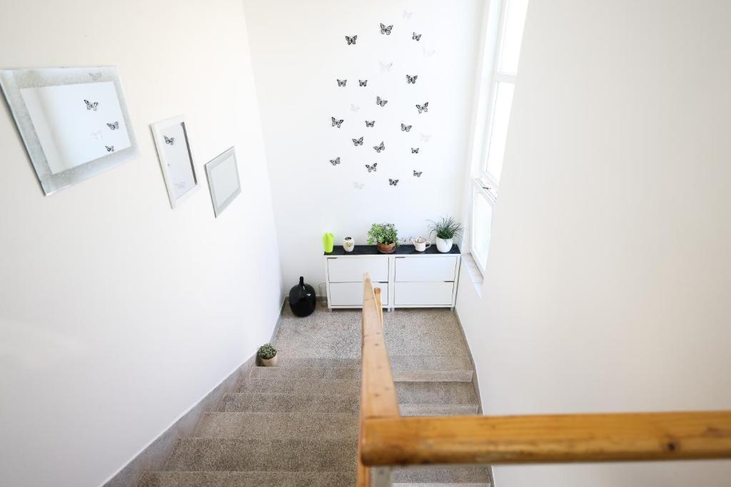 Apartman Heder photo