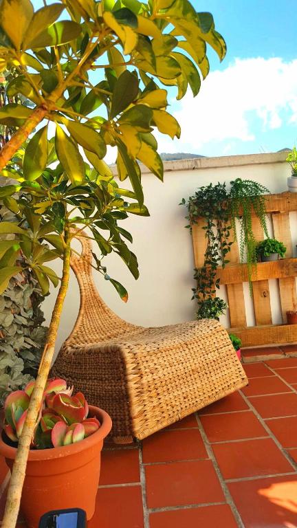 Atico en el corazón de Santa Cruz/ Cozy Penthouse - 2