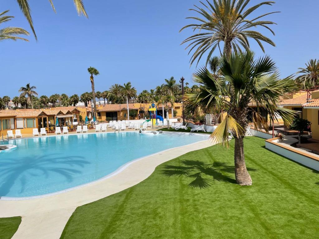 Bungalows Parque Bali con AIRE ACONDICIONADO — Swimming pool in Maspalomas, Canary Islands