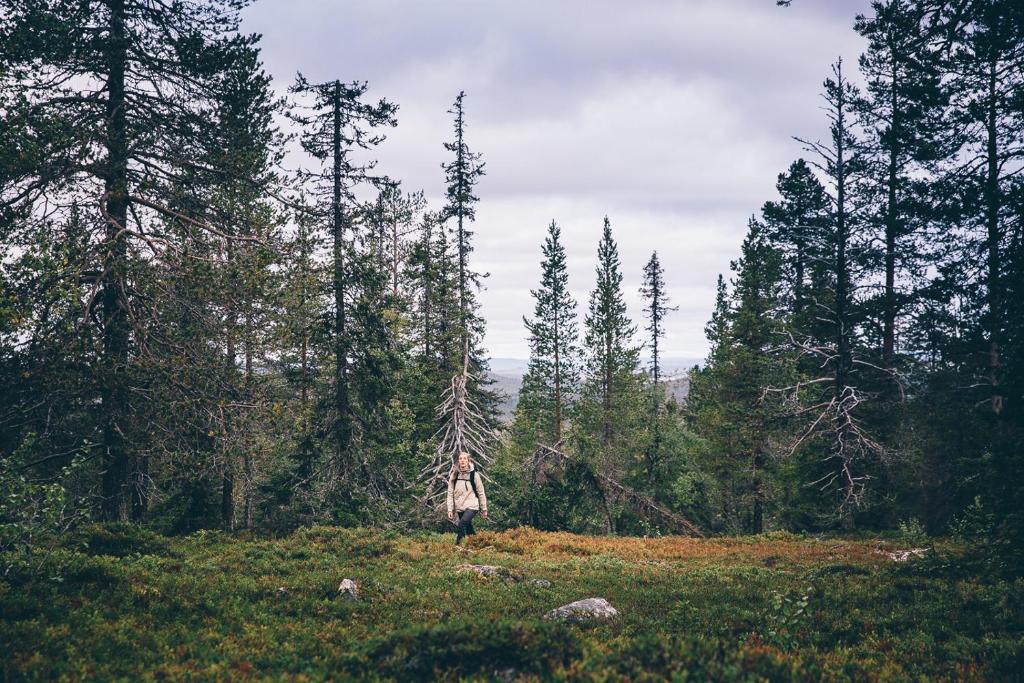 Sports and activities