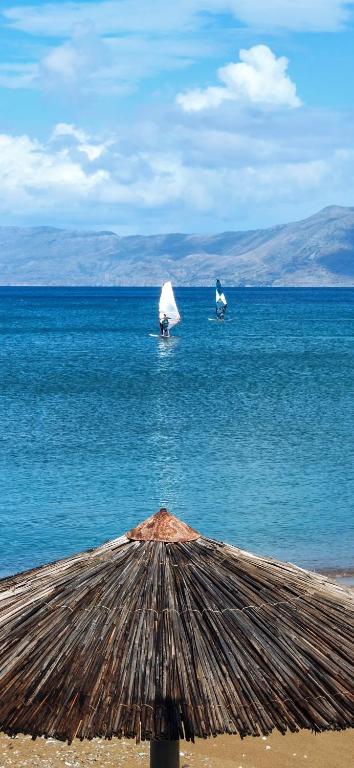 Hotel Peli photo