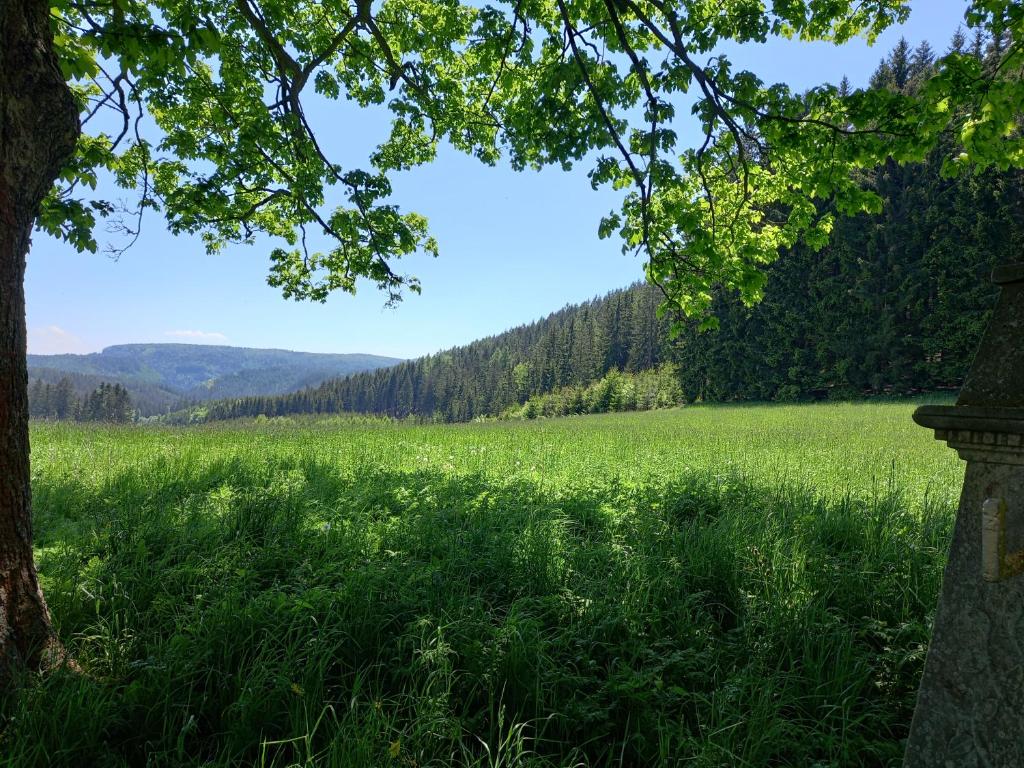 Hotel Koruna penzion photo