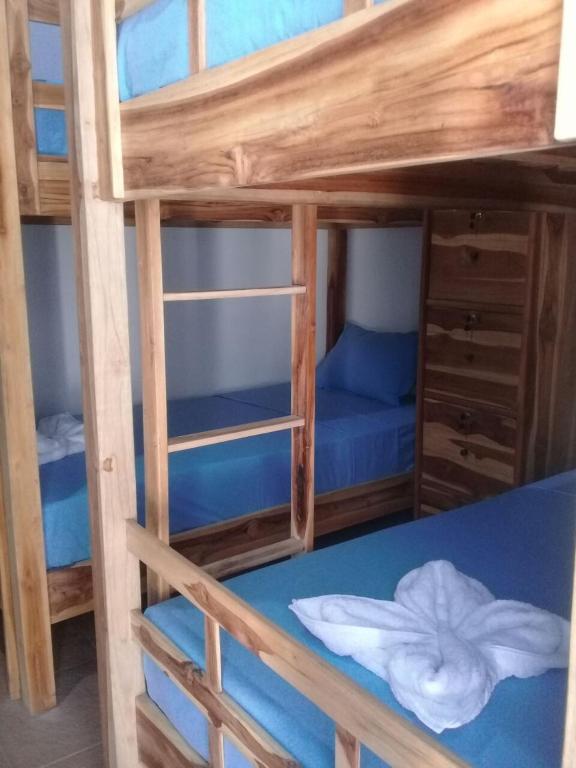 Serangan Turtle Island Hostel photo