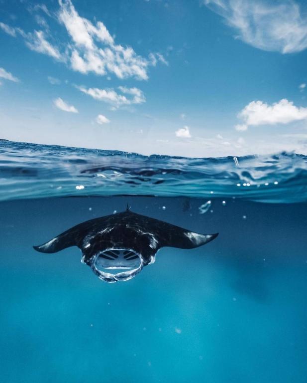 Programlehetőségek