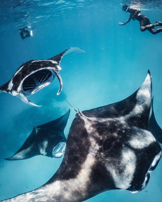 Programlehetőségek