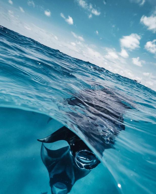 Programlehetőségek