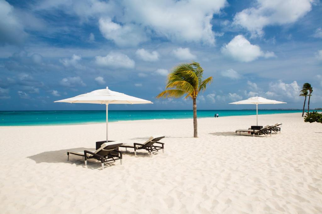 Bucuti & Tara Boutique Beach Resort - Adult Only — Beach in Oranjestad