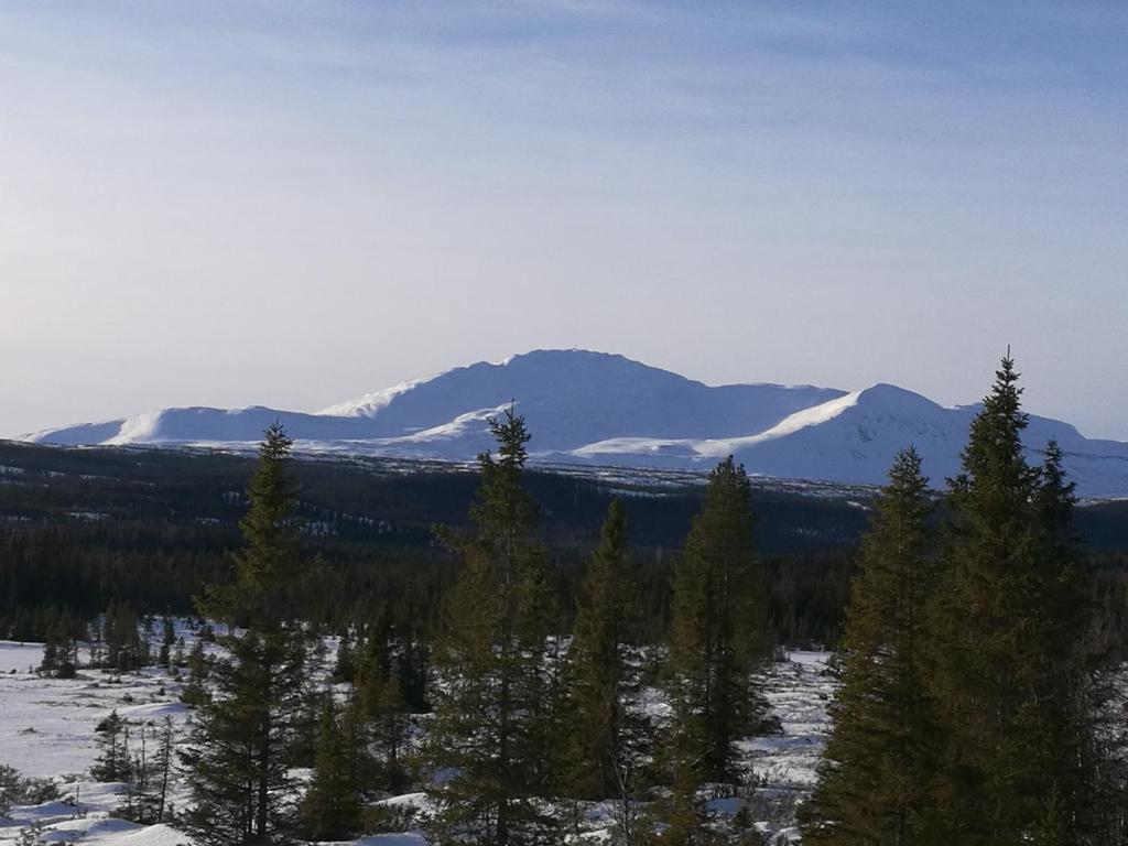 Fjällägenhet boende Huså Byskola