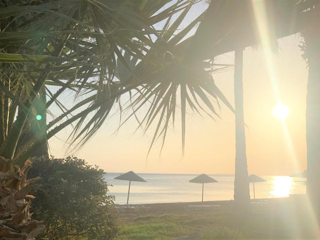 Sweetness Apartment By the Sea, Vokolidha