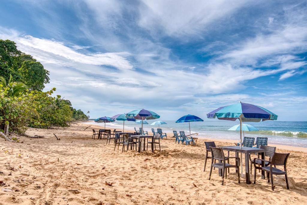 Oasis Bluff Beach photo