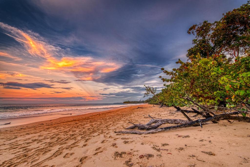 Oasis Bluff Beach photo