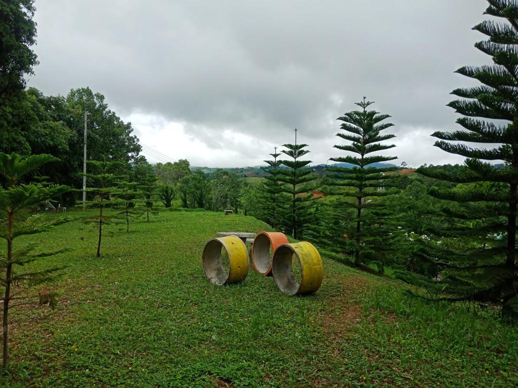 Gypsy Resort photo