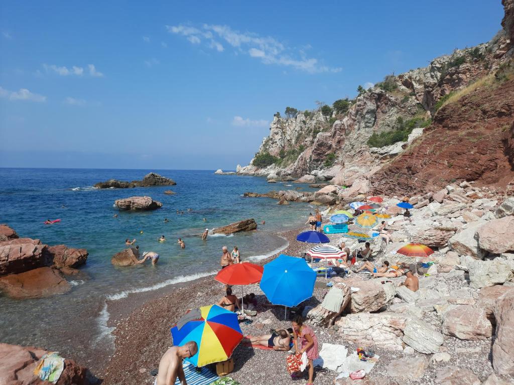 Apartmani Tomovic photo