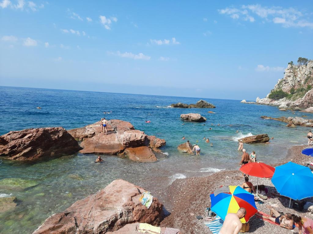 Apartmani Tomovic photo