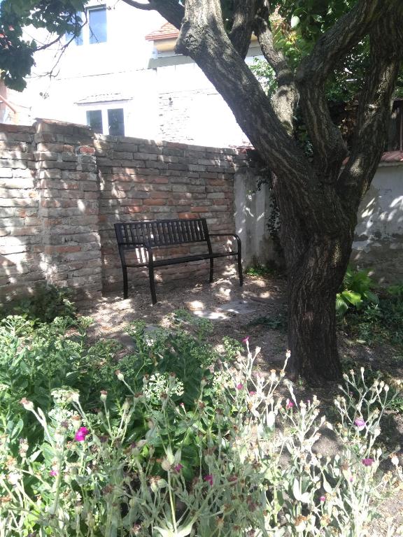Cechovka photo