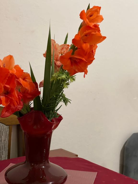 Apartmani Miro Trebinje - 5