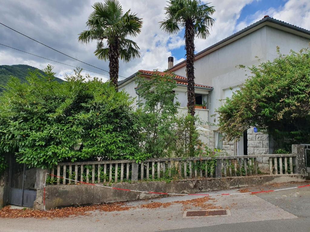 Fran Opatija, Rukavac