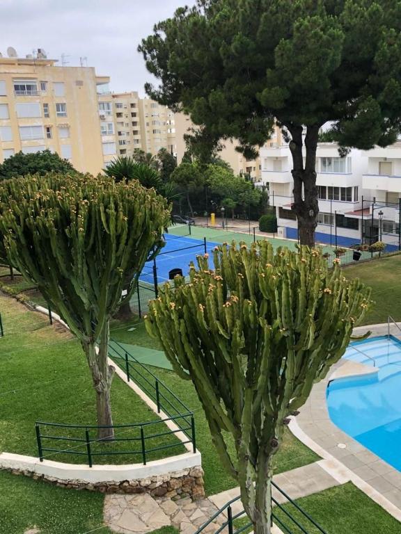 Très bel appartement avec piscine et tennis entre amis ou en famille - 3
