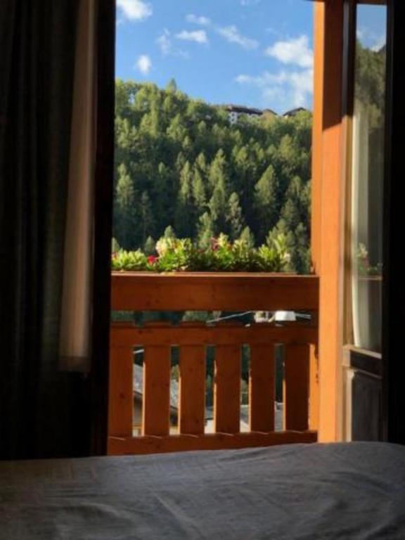Hotel Moizi photo
