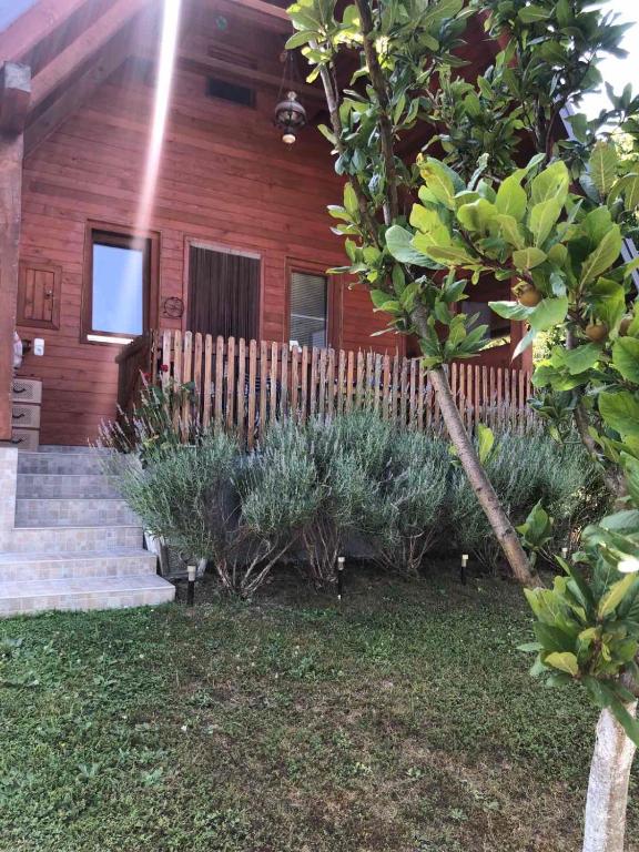 Holiday home Nemo - 1