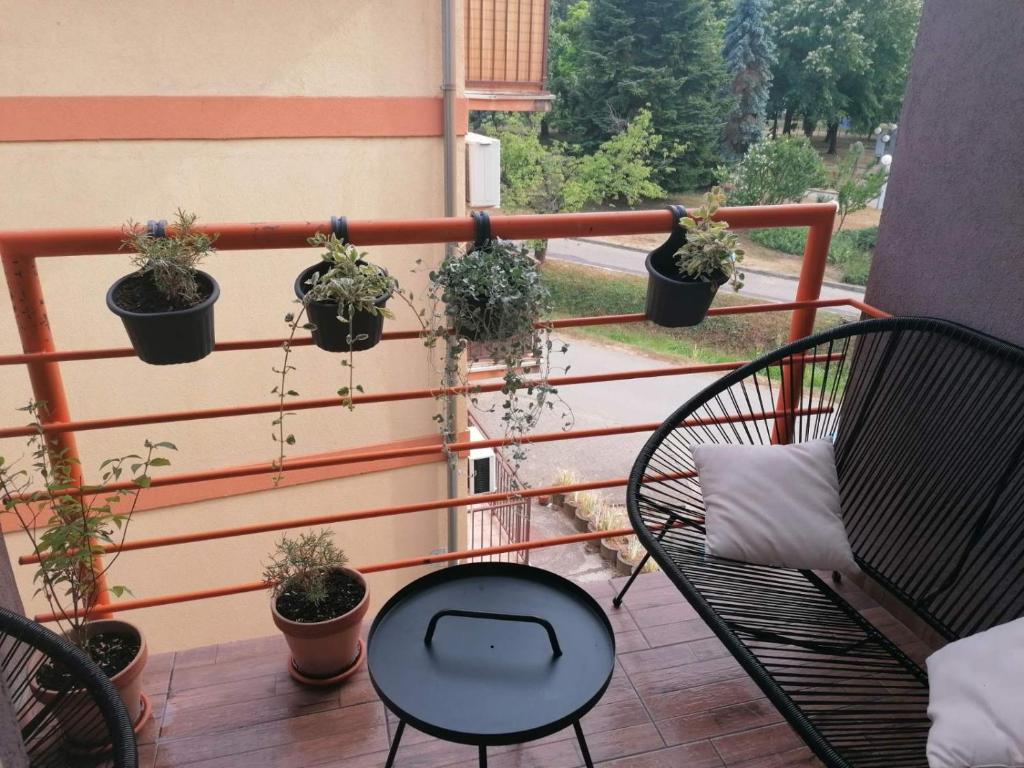 KoKo apartman - 4
