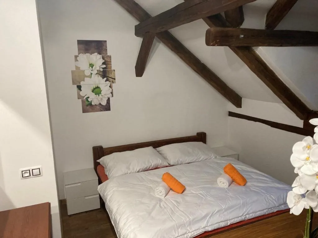 Apartmánový dům 13 Podkroví 2，位于塞奇的酒店