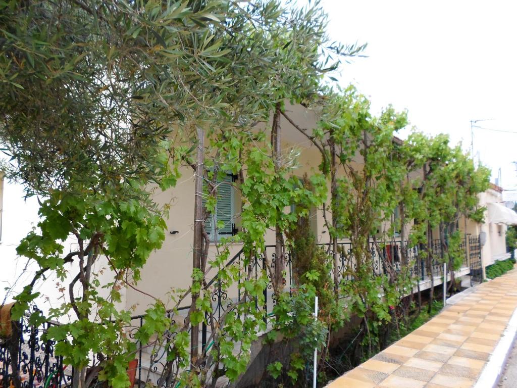 Katerina Apartments photo