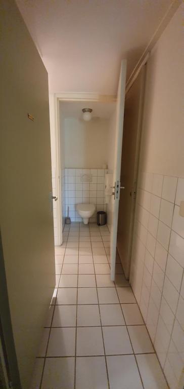 B&B Blauwestadhoeve photo