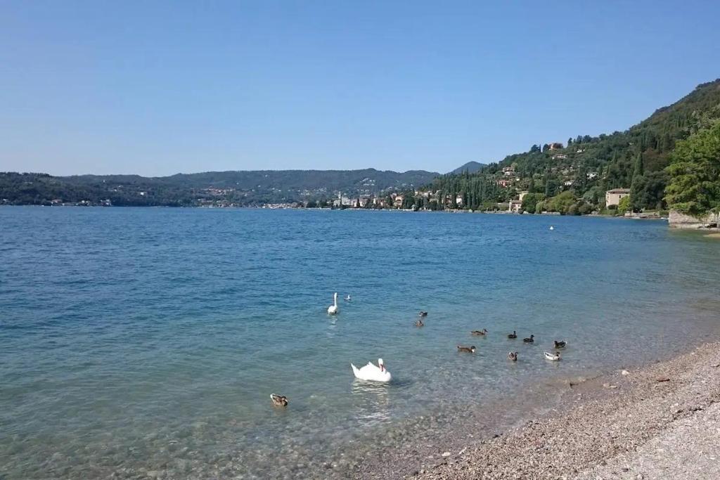 La Maisonette du Relax - 5