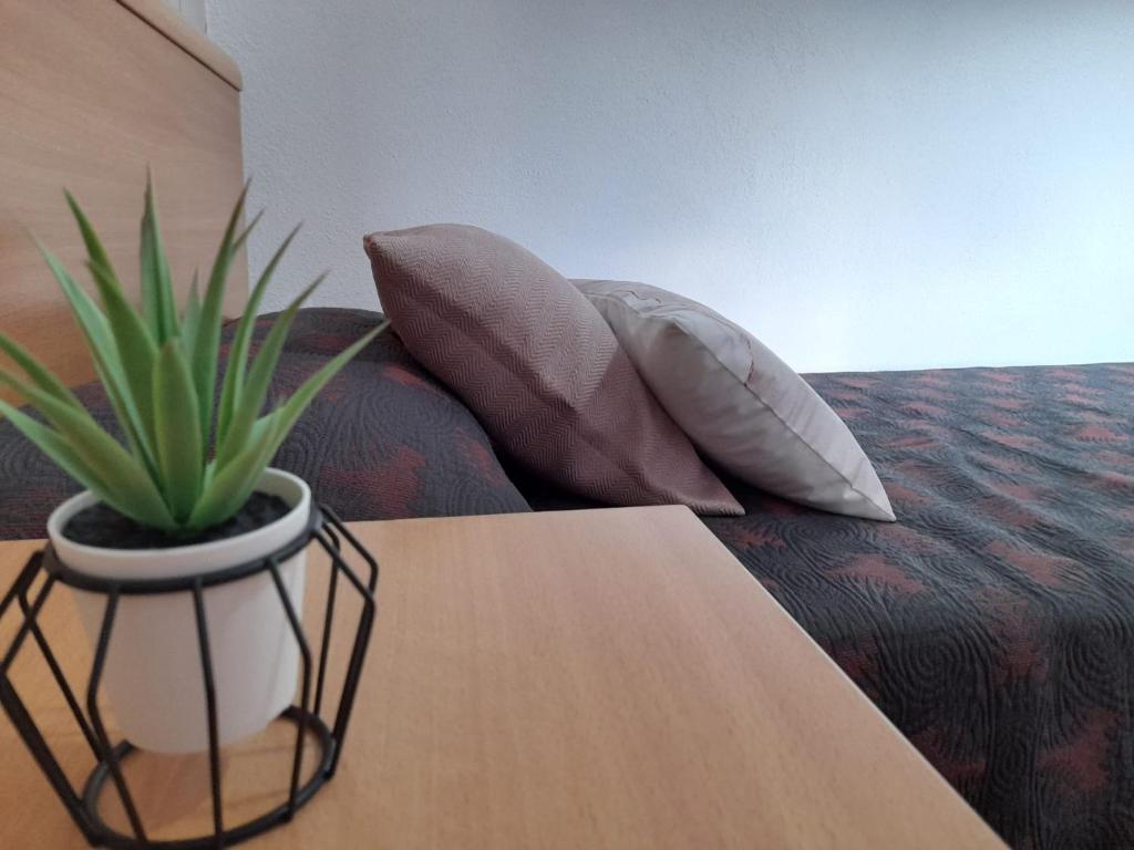 APARTAMENTO NURIA GONZÁLEZ GRANDA - 3