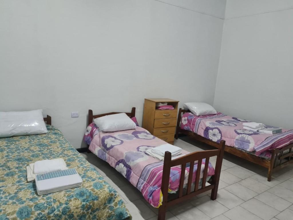 Casa Olivos - 5