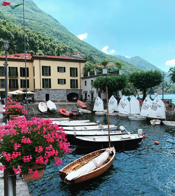 Il Belvedere — Hotel in Torno