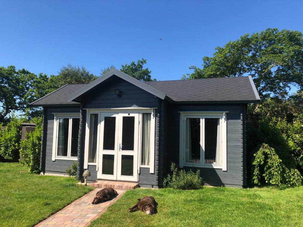Modern Summerhouse, Sway, Sway - pet-friendly stay