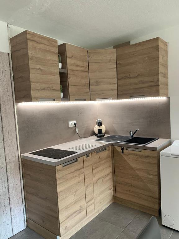 APPARTEMENT PALAVAS LES FLOTS AVEC JARDIN et PISCINE - 4
