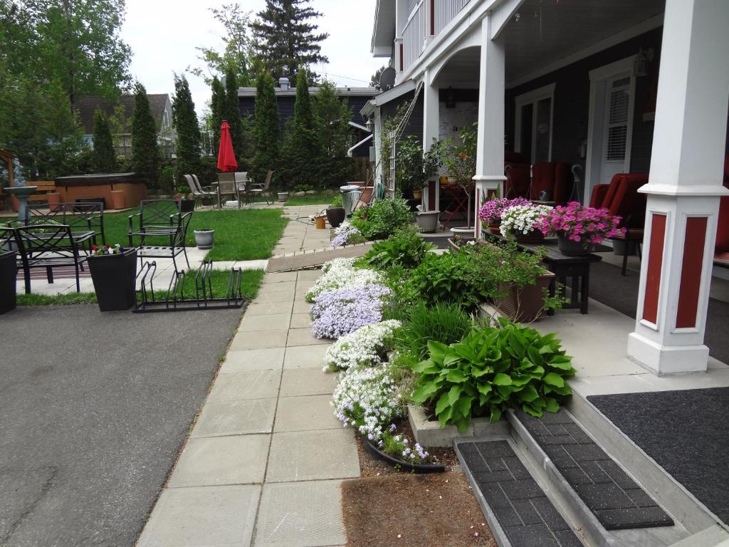 Hotel Saint-Donat photo