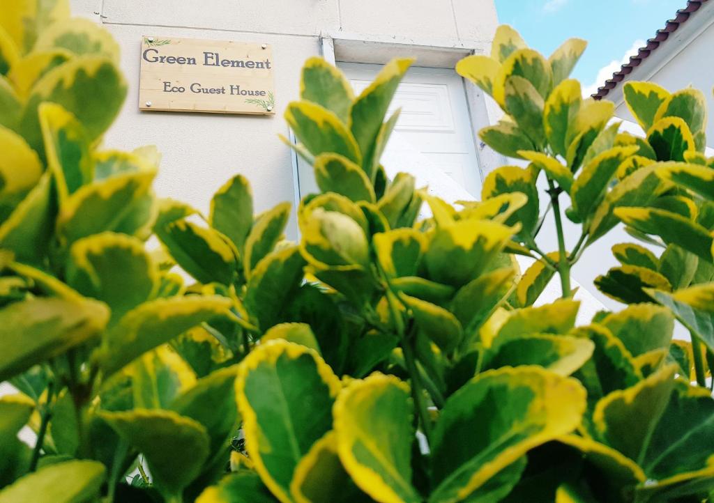 Green Element Guesthouse photo