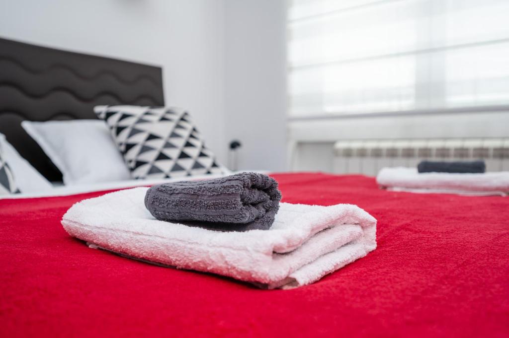 Bright 1BDR Apartment in the City Center - 5