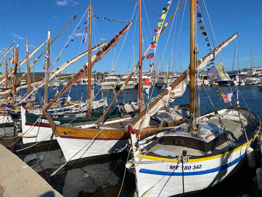 A Pied du Port de Bandol et de sa Plage - 2